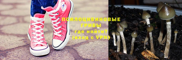 трава Пестово